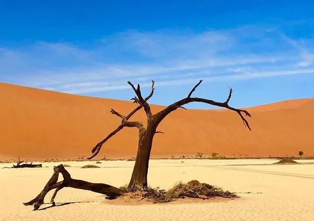 Morocco Exclusive Tours 4-DAYS FES TO MARRAKECH DESERT TOUR