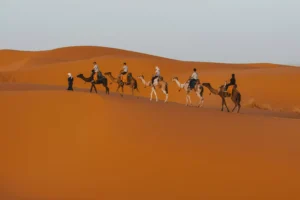 3-days desert tour from Fes