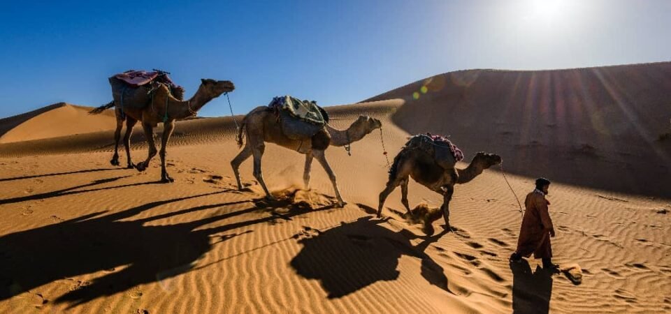 4 DAYS TOUR FROM AGADIR TO ERG CHEGAGA DESERT& KASBAHS