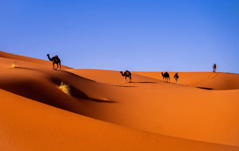 Sahara Desert, Essaouira & Imperial cities Morocco tour – 12 days